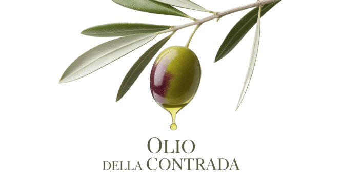 L’importanza della potatura nell’ulivo